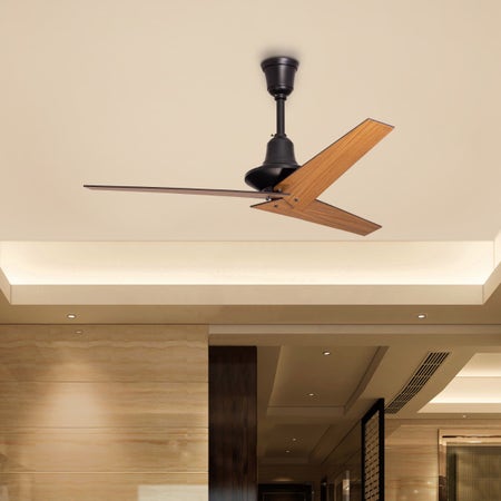 Espresso Morning (122 cm Span, Black Finish Metal Body, Teak Finish Teak Wood Blades) Ceiling Fan