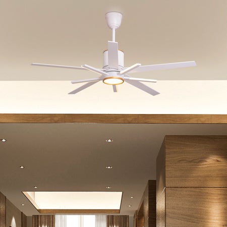 Serengeti (142 cm Span, White & Gold Finish Metal Body, White Finish Solid Wood Blades) Dimmable LED With Remote Control Ceiling Fan