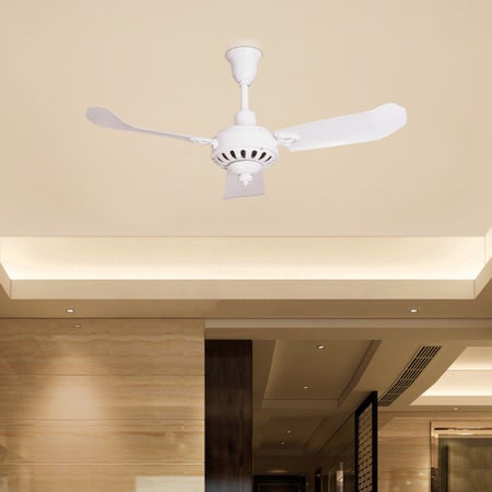 Lakeside Love (127 cm Span, White Finish Metal Body, White Finish Metal Blade) Ceiling Fan