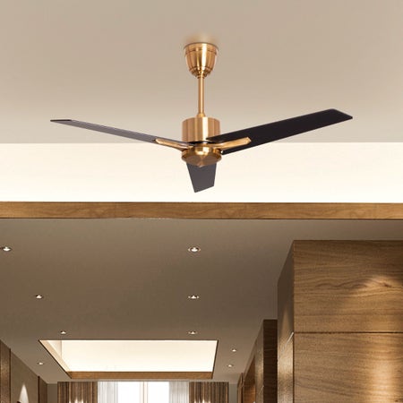 Mount Street (140 cm Span, Gold Finish Metal Body, Black Finish Wooden Blades) Ceiling Fan