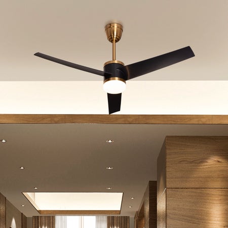 Berlin Bewitching (136 cm Span, Black And Gold Finish Metal Body, Black Finish ABS Blades) Dimmable LED With Remote Control Ceiling Fan