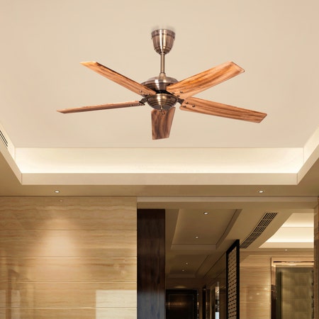 Alameda (136 cm Span, Faded Brass Finish Metal Body, Walnut Finish Solid Wood blades) Ceiling Fan