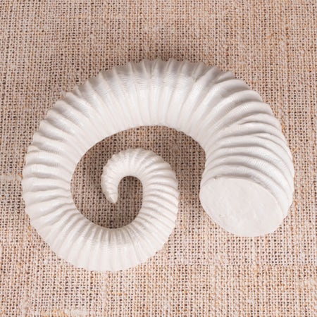 Snails Pace (White) Ceramic  Home Decor