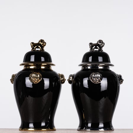 Discovery Ceramic Vases